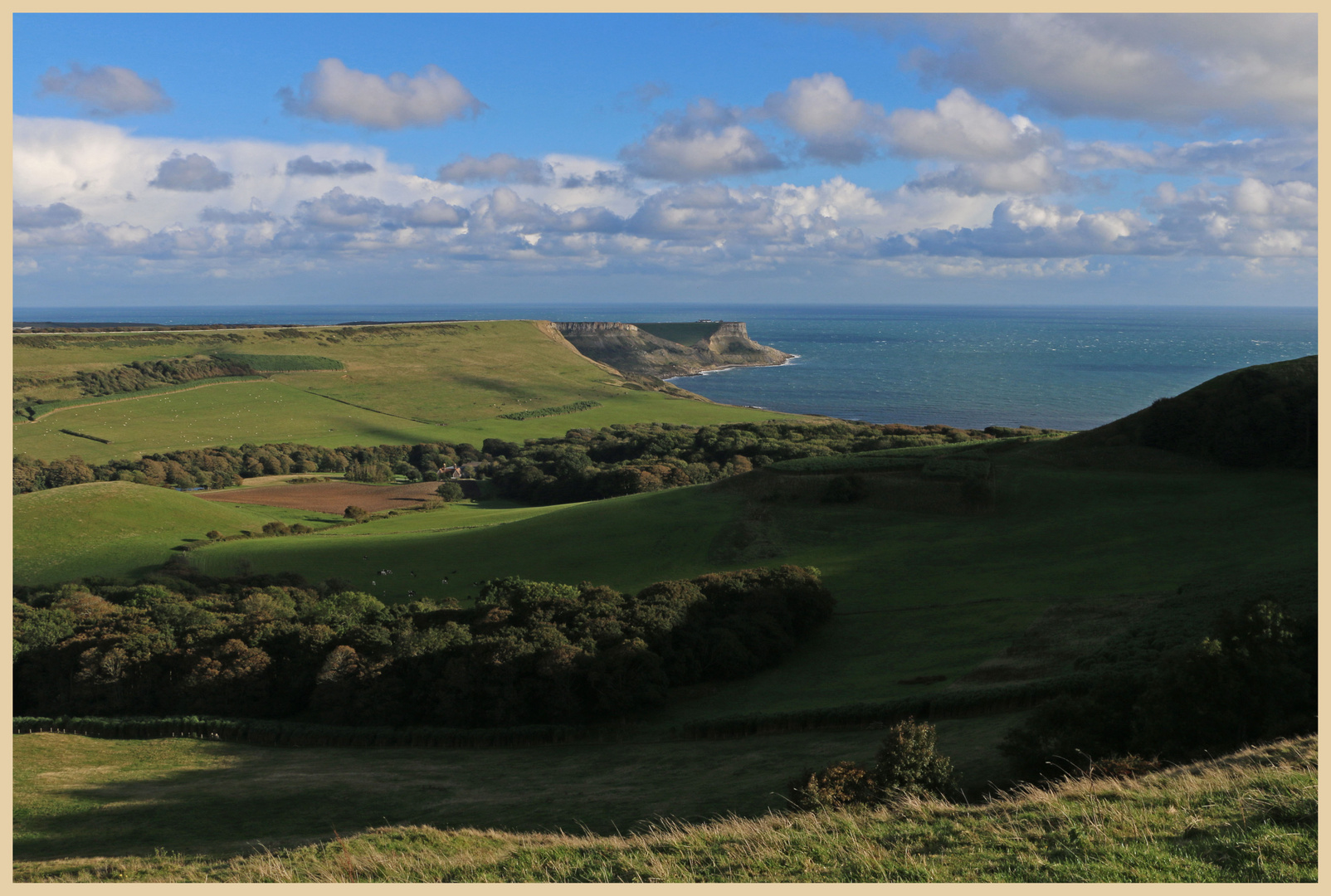 st aldhelms head from swyre head