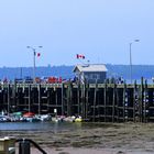 St. Andrews by the Sea at low tide