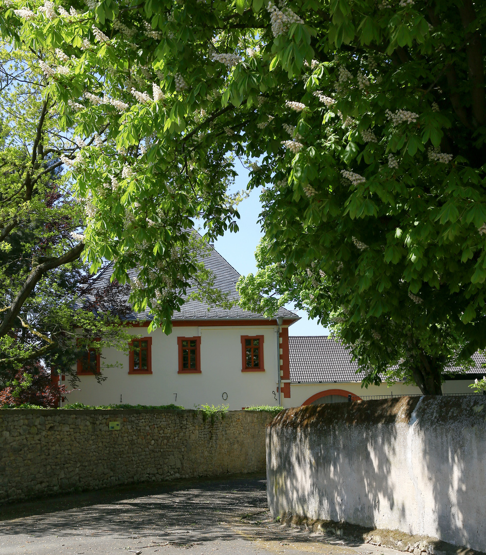 St. Bartholomäus in Schwabenheim 