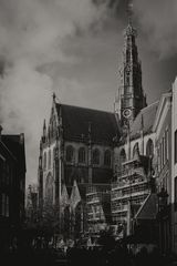 St. Bavo Kirche in Haarlem