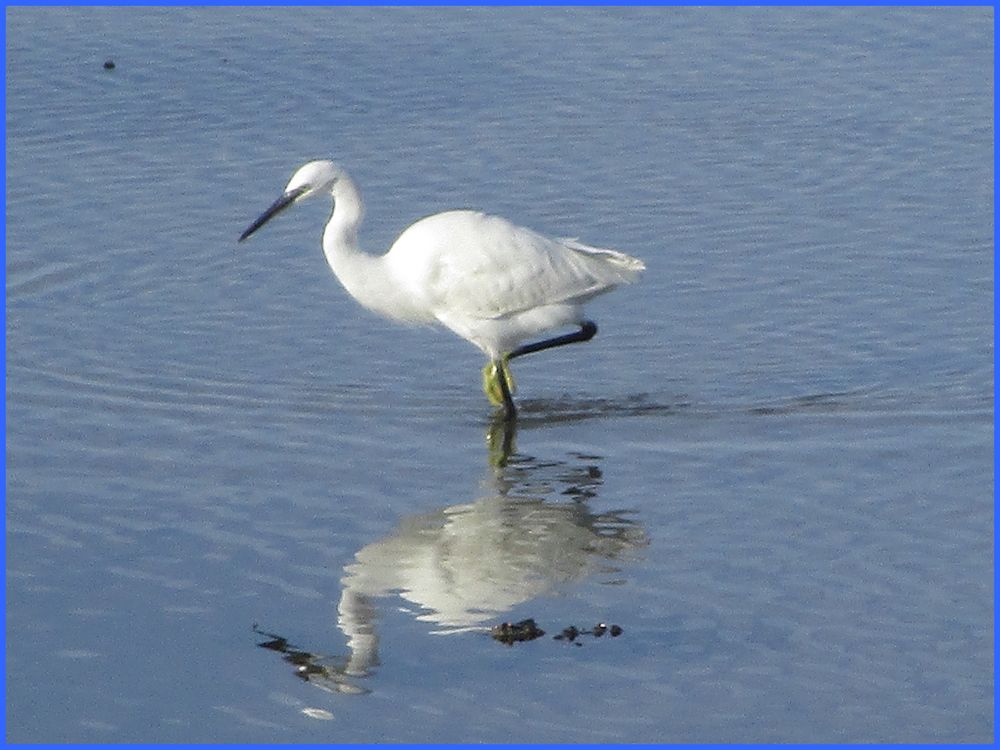 ..St-Cado, Ria d'Etel... (Morbihan)..