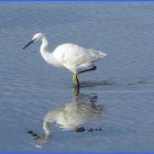 ..St-Cado, Ria d'Etel... (Morbihan)..