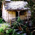 , St Clair National Park,Tasmania