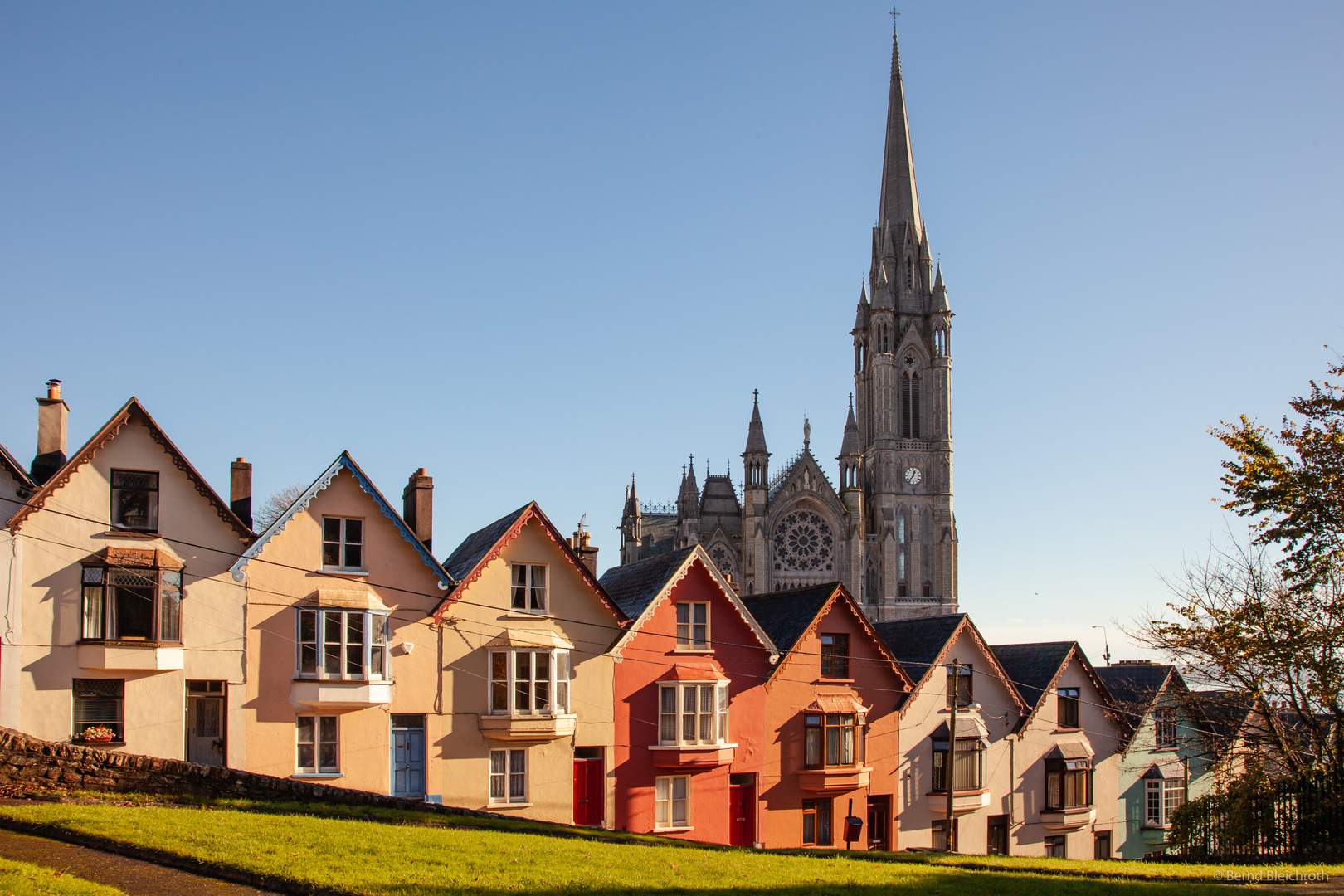 St. Colman`s Cathedral - Cobh