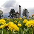 St. Coloman - Schwangau