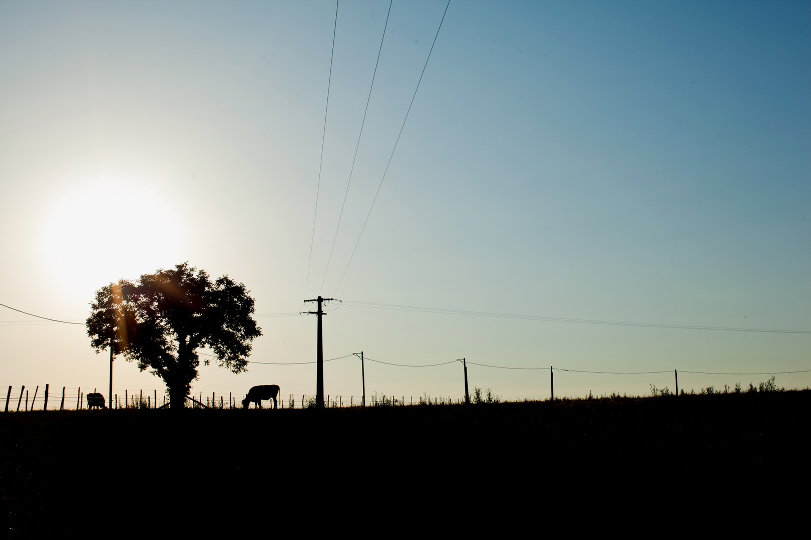 St Colombe France farm scene
