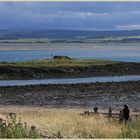 st cuthberts island 6