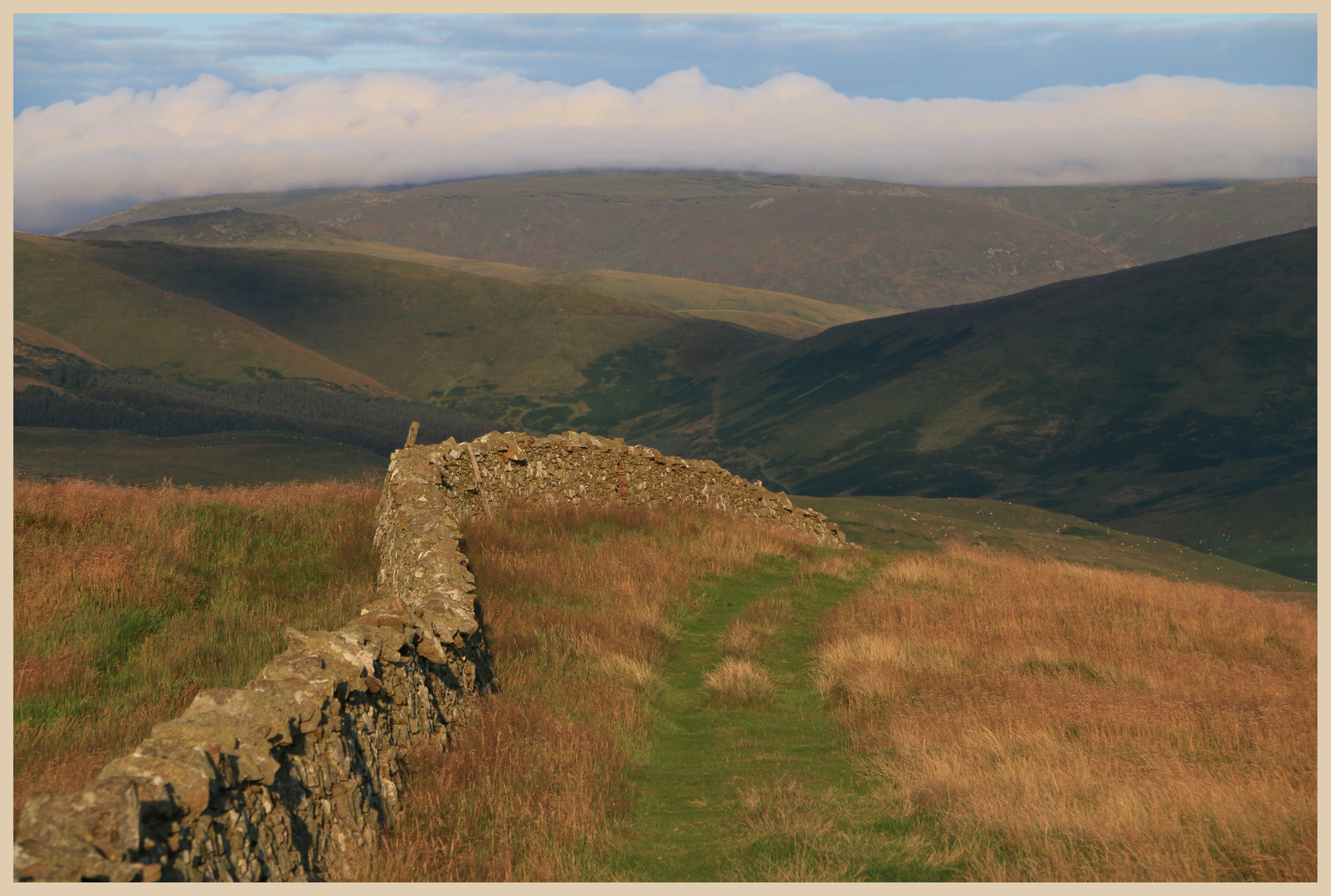 St Cuthberts way on wideopen hill 4