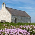 St Cwyfan's Church, Llangwyfan auf Anglesey, Wales