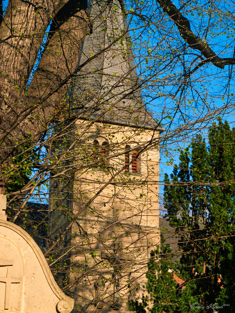 St. Dionysius in Baumberg