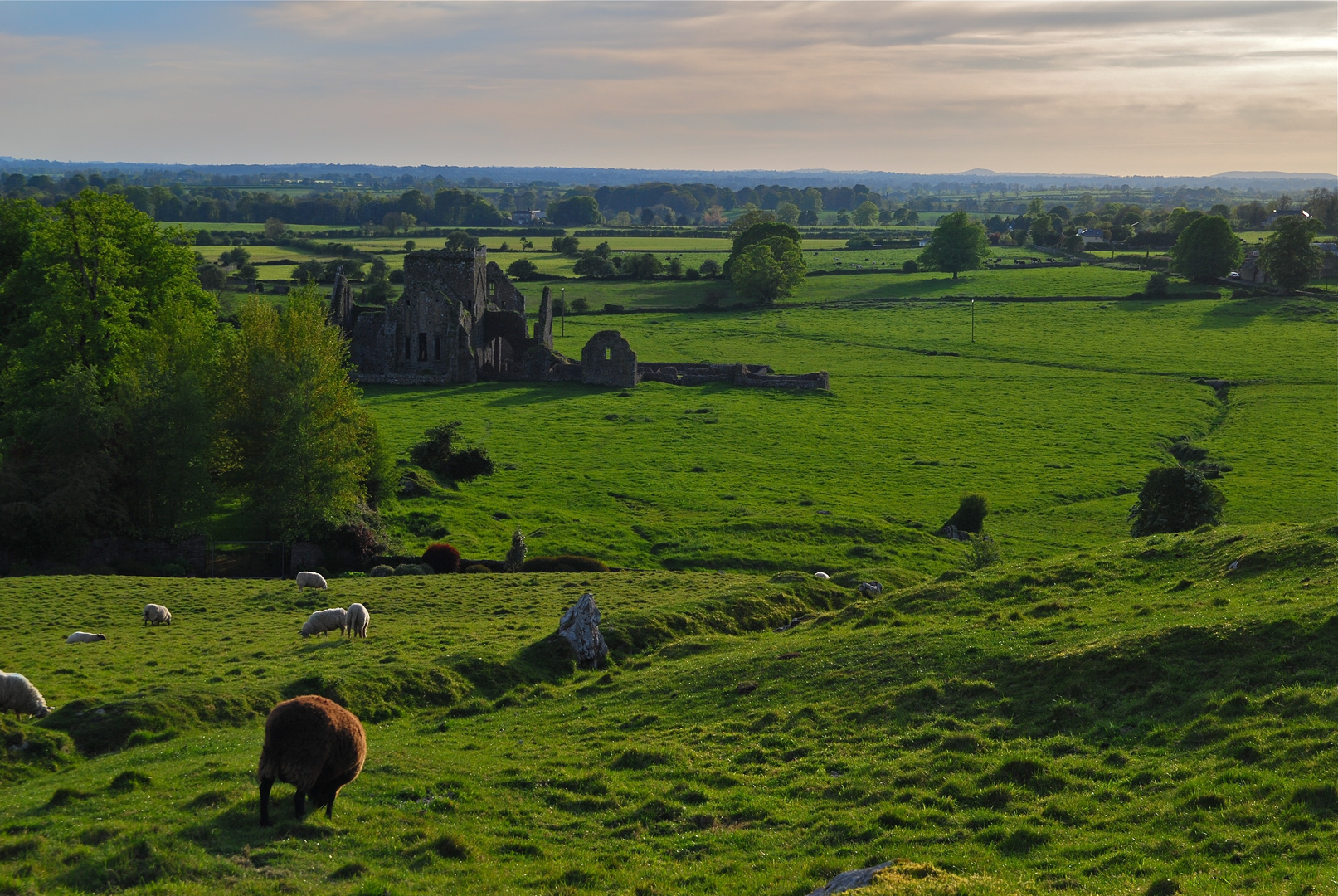 St. Dominic's Abbey, Cashel, Co. Tipperary