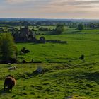 St. Dominic's Abbey, Cashel, Co. Tipperary