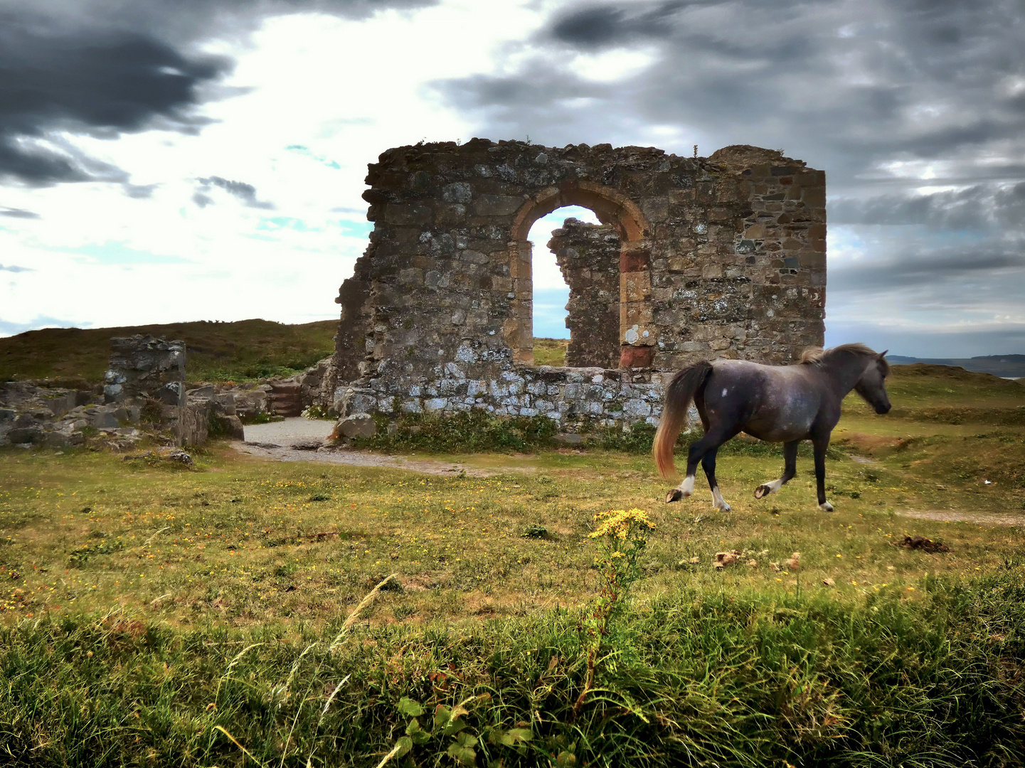 St Dwynwen's