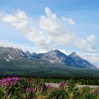 St. Elias Mountains, Alaska