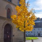 St. Gallen Herbst