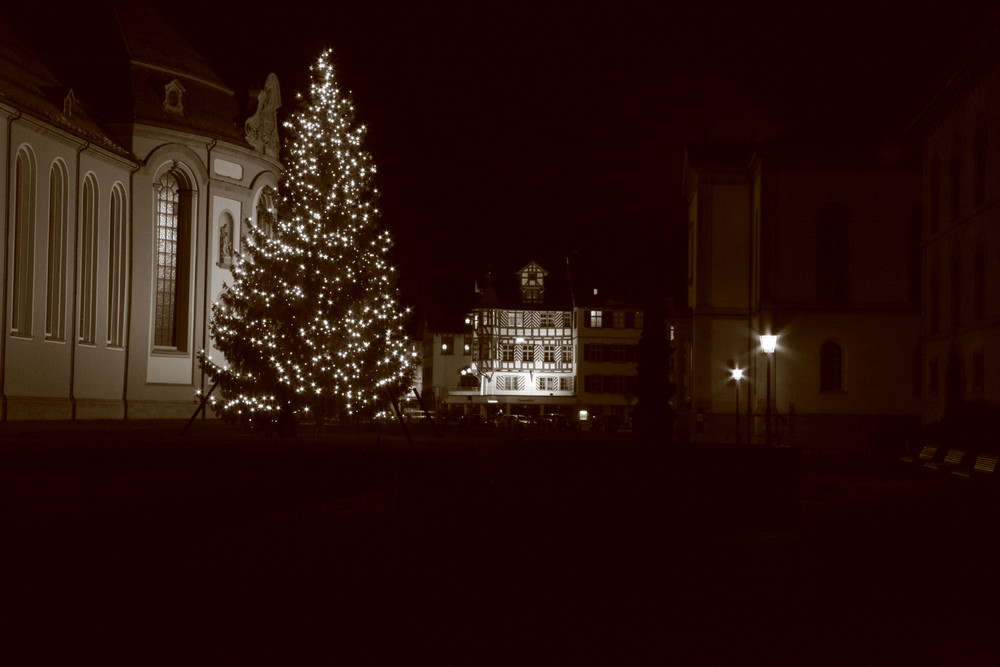 St. Galler Weihnachtsbaum beim Dom 2008
