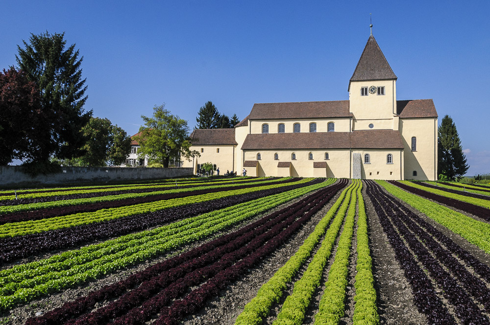 St. Georg und der Salat