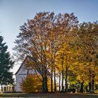 St. Gertrudis Kapelle Oberreifenberg, Taunus