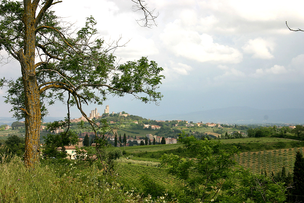 St. Gimignano