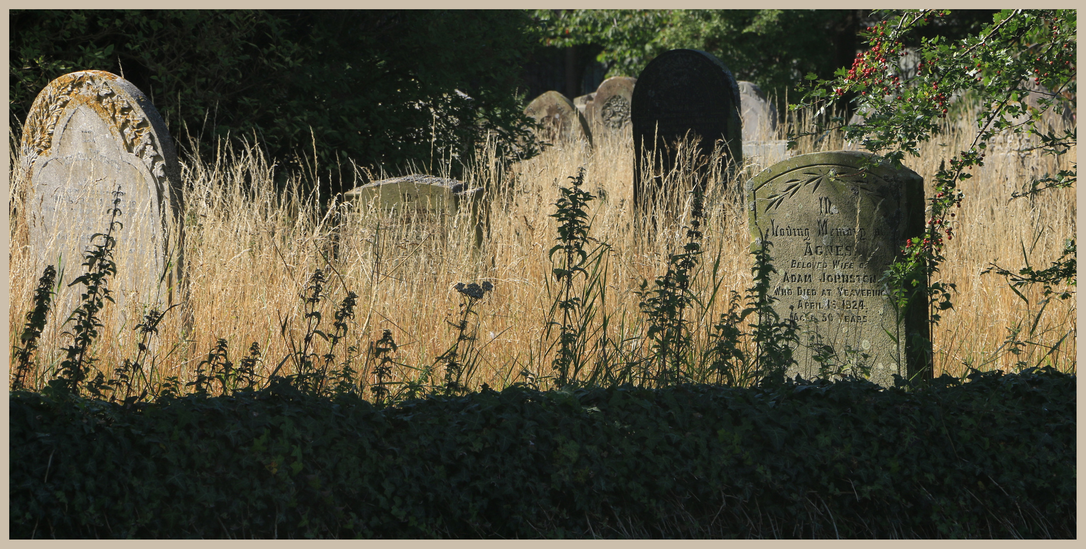 St Gregory Churchyard 9