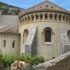 St. Guilhem le Désert