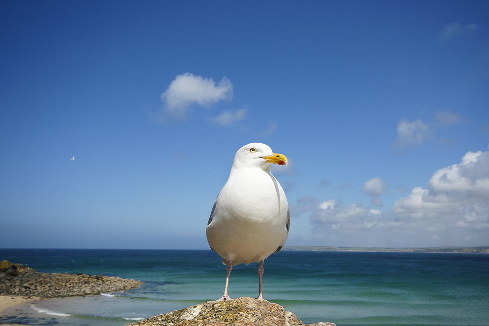 St. Ives