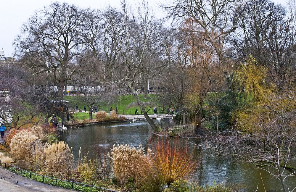 St James Park face à Buckingham Palace  --  London  -- St James Park, Buckingham Palace gegenüber