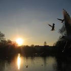 St. James Park in London