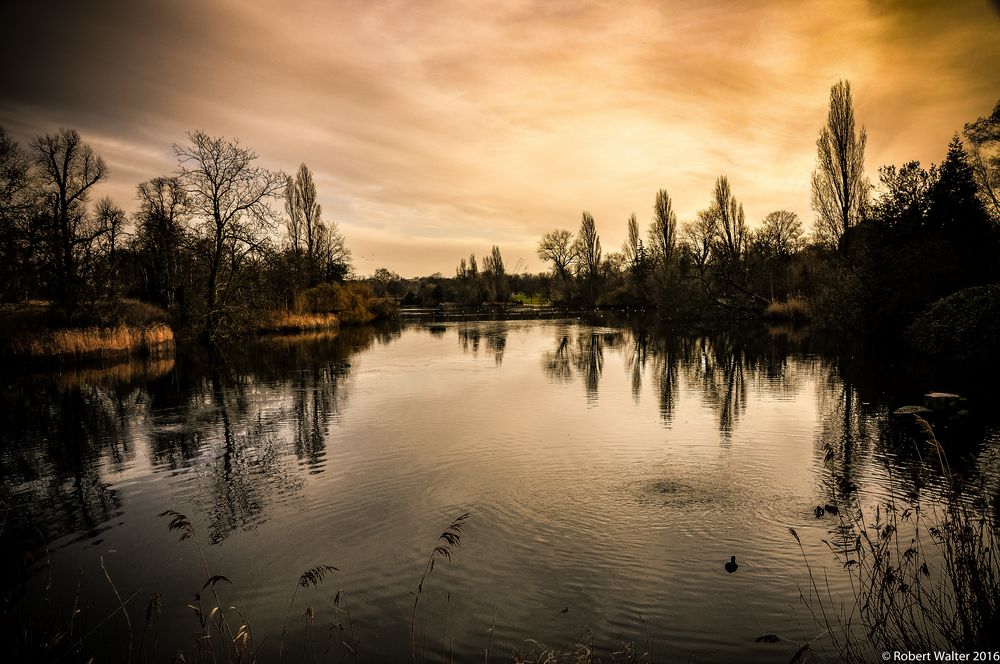 St. James' Park London, in the evening light