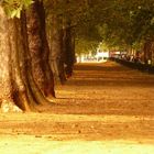 St. James's Park