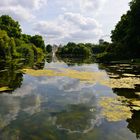 St. James's Park in London