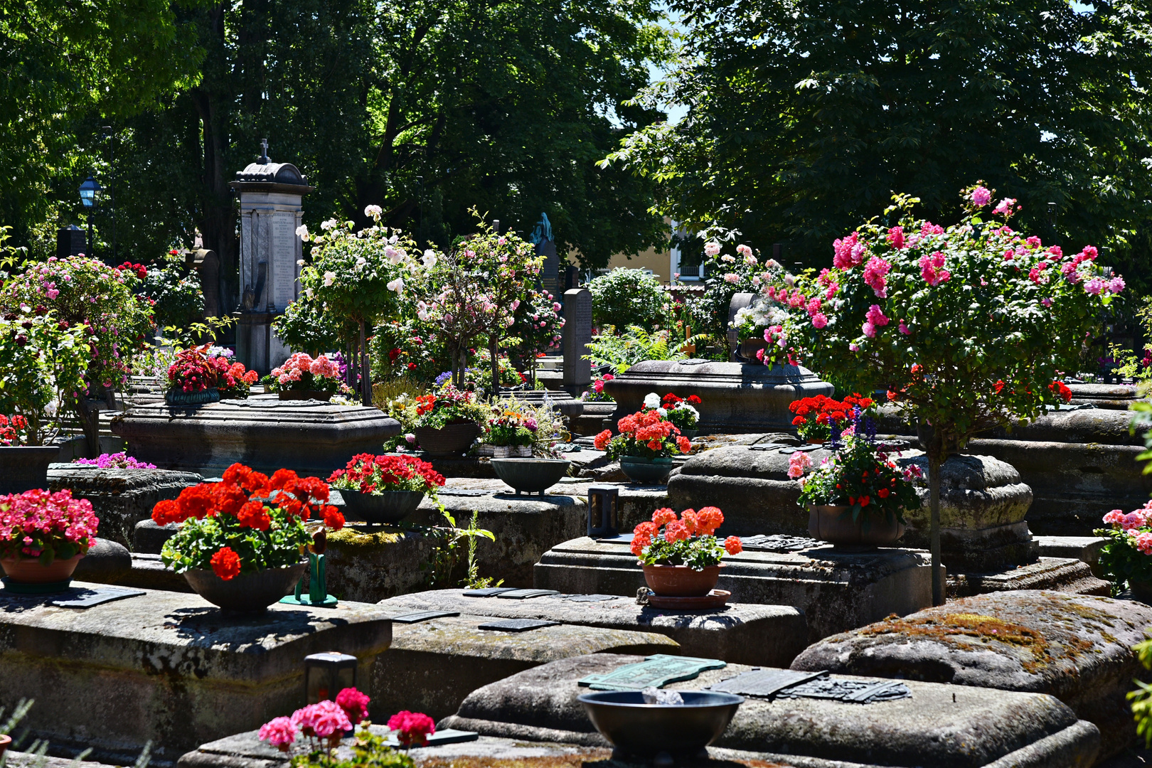 St. Johannis-Friedhof 02