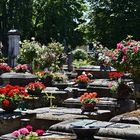 St. Johannis-Friedhof 02