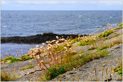 St. John's Point