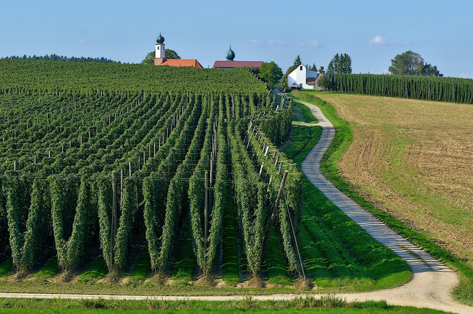 St. Korona im Hopfengarten