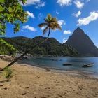 St. Lucia 41