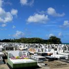 St. Lucia - Der alte britische Friedhof