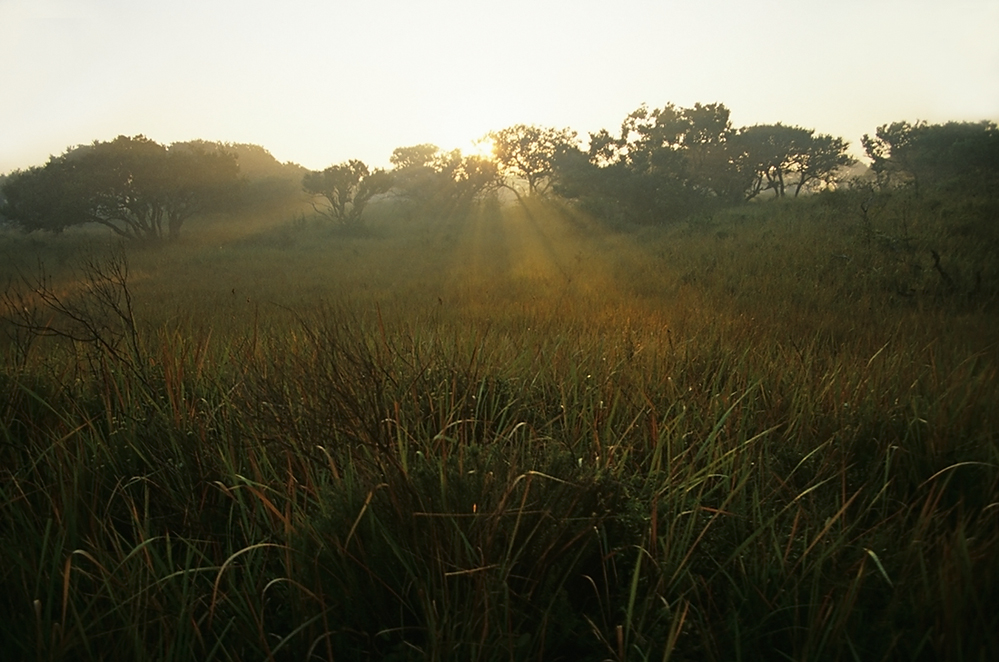 St. Lucia Wetland Park - es wird Abend