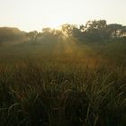 St. Lucia Wetland Park - es wird Abend