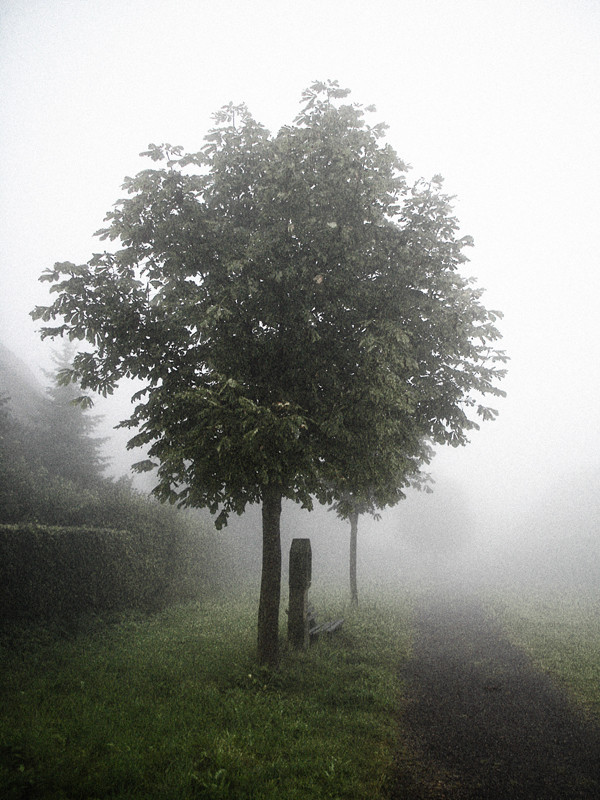 St. Märgen im Nebel