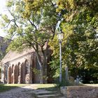 St. Marienkirche in Angermünde