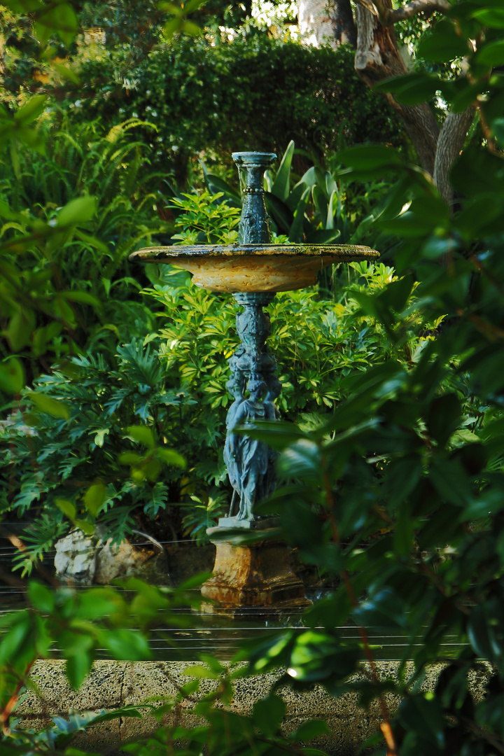 St. Martin Garten Monaco Foto & Bild world, mittelmeer, garten Bilder