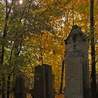 St. Marx Friedhof, Wien