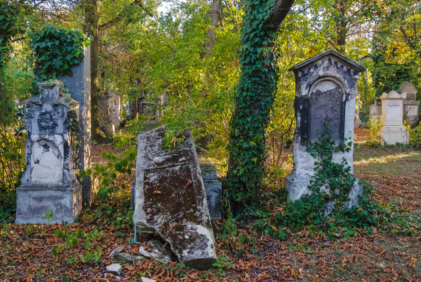 St. Marxer Friedhof (3)