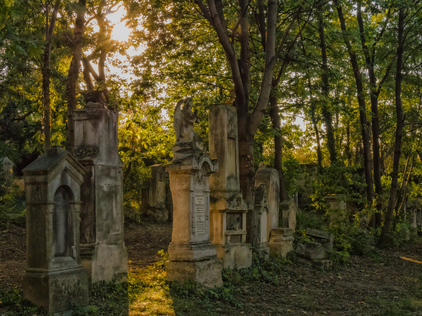 St. Marxer Friedhof (4)