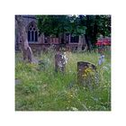 St. Mary Magdalen's Church Graveyard