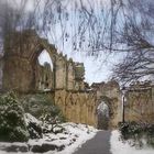 st mary's abbey york uk