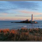 St Mary's island and lighthouse early morning 3A