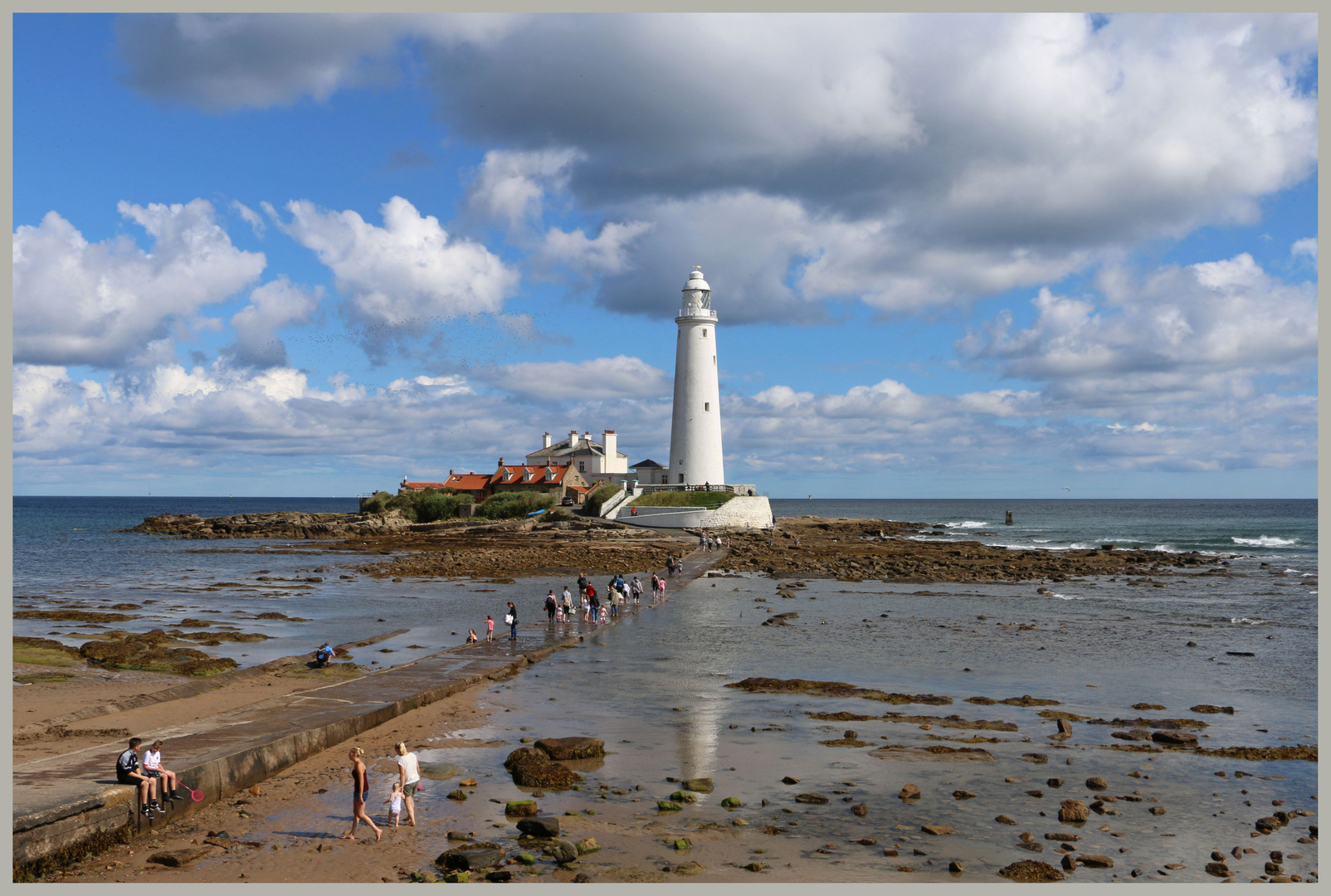 st mary's lighthouse whitley bay 8 photo & image landscape, coastal
