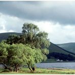 St. Mary`s Loch